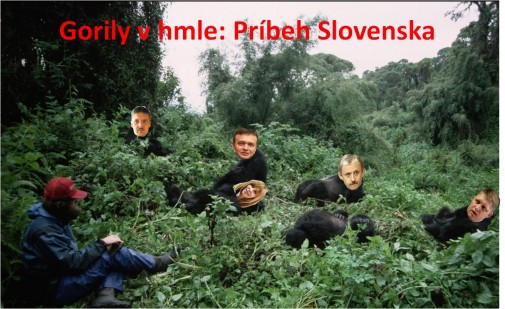 Príspevok 13722